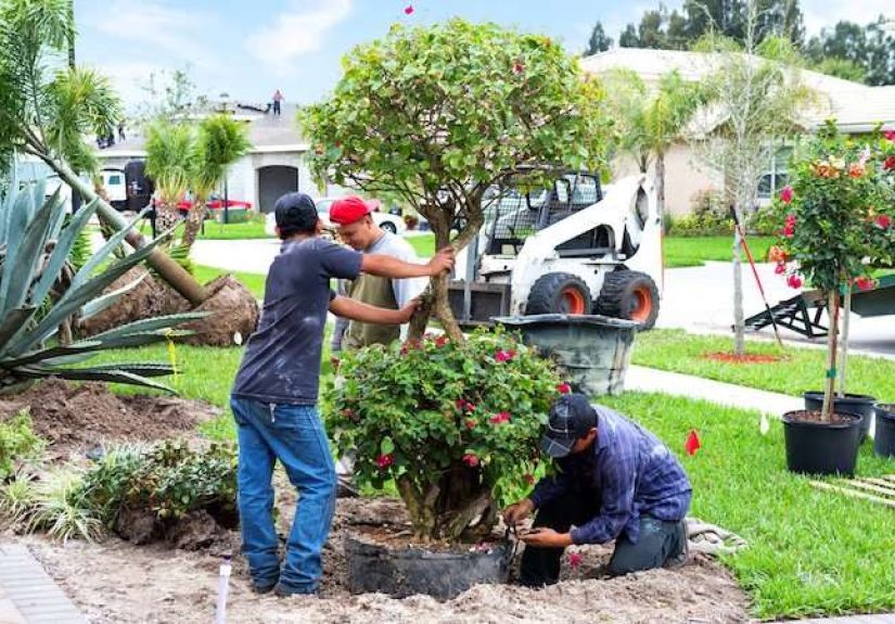14 Landscaping Features That Can Hurt Your Home Value - Bob Vila