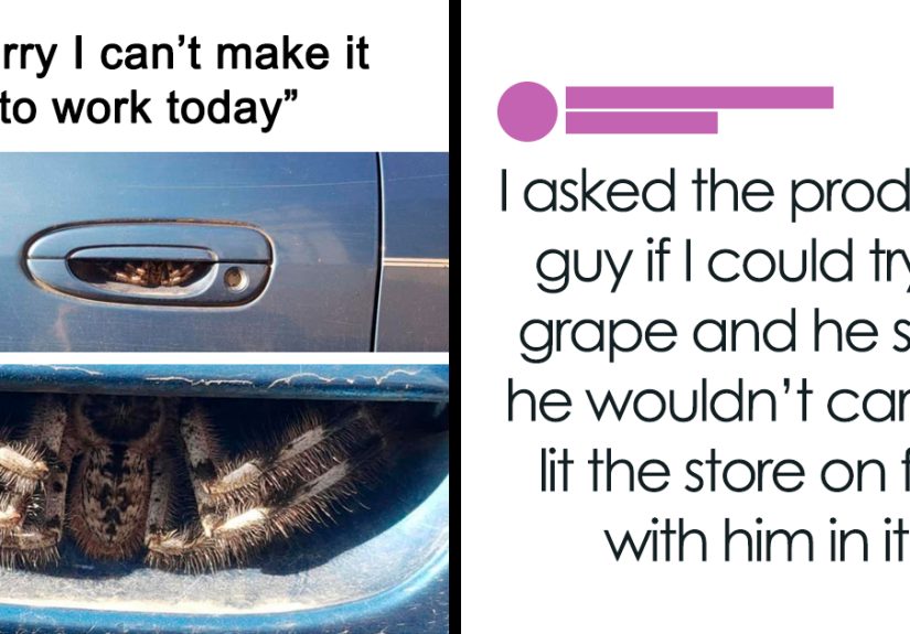 40 Funny Work Memes To Keep You Going Until Another Friday
