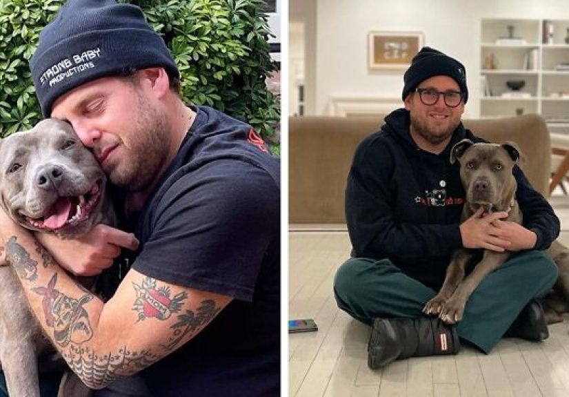 Actor Jonah Hill Expresses His Joy After Adopting A 3-Year-Old Doggy, Gets Praised by 336K People On Instagram