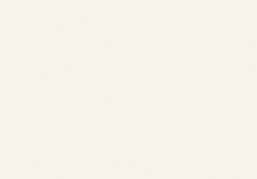 All White No. 2005 Paint