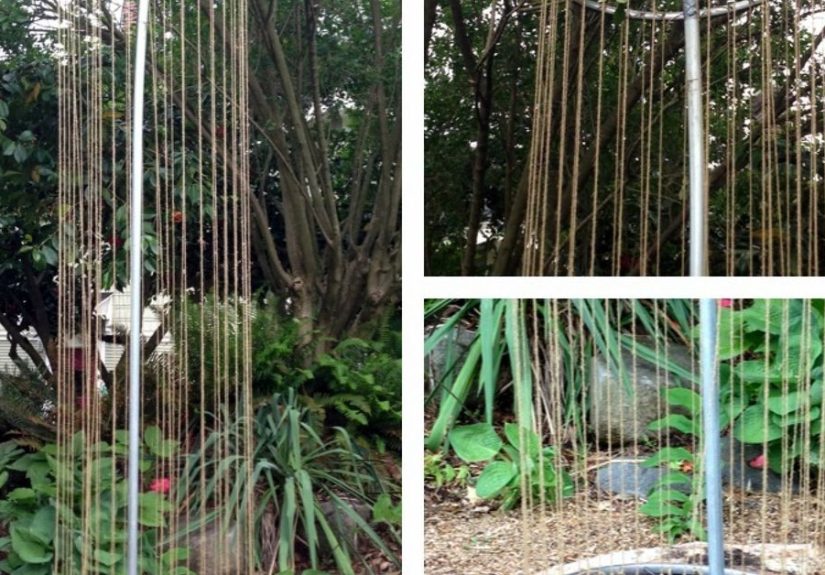 Bicycle Wheel Trellis