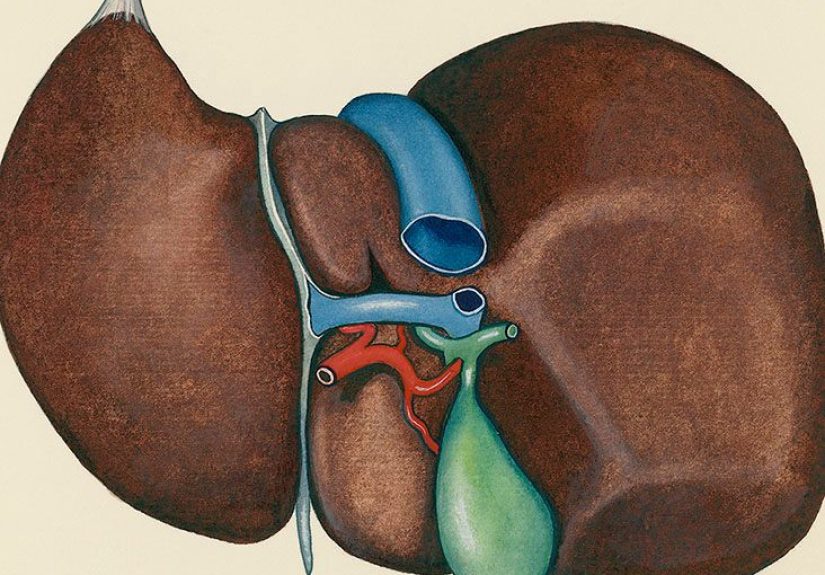 Collapsed (Contracted) Gallbladder: Symptoms, Treatment, and More