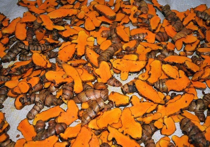 Diabetes: Can turmeric supplements help with weight loss?