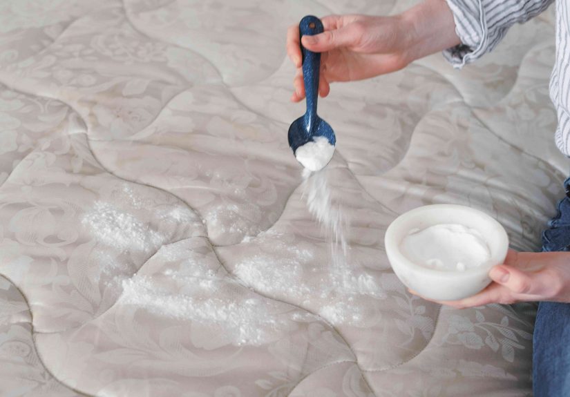 Does Baking Soda Kill Bed Bugs? Pros Share How to Get Rid of These Pests