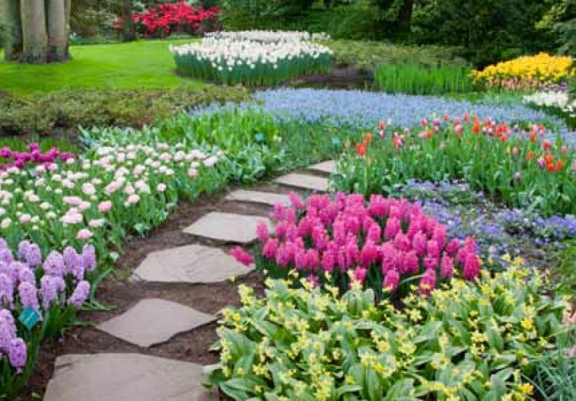Essential Nutrients to Use for Your Lawn and Garden  - This Old House