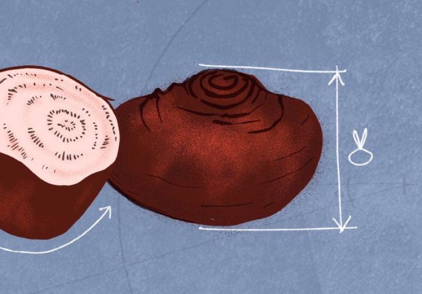 Food as medicine: A debated concept