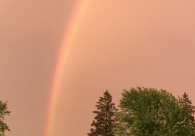 Hey Pandas, Post The Best Picture Of A Rainbow That You’ve Ever Taken