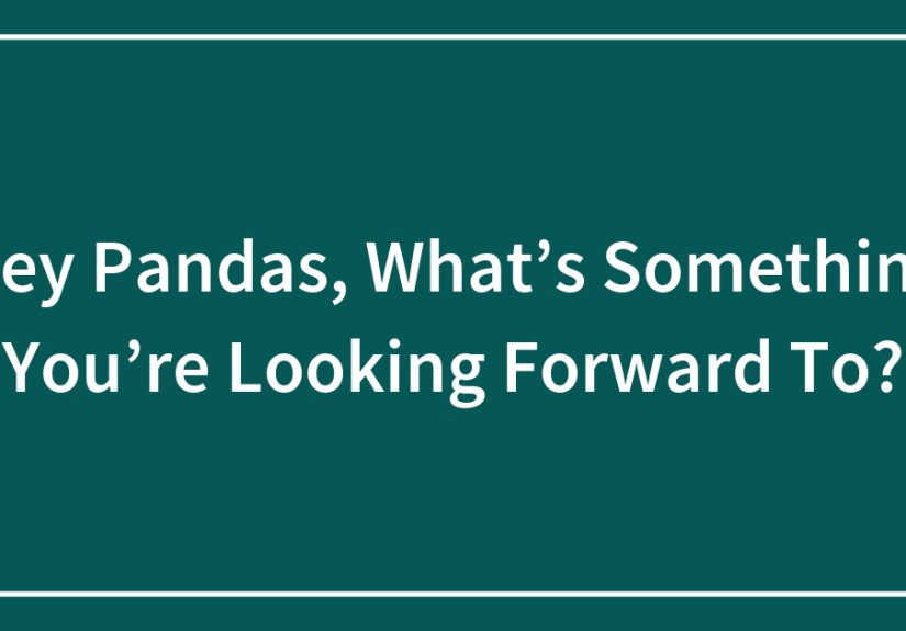 Hey Pandas, What’s Something You’re Looking Forward To?