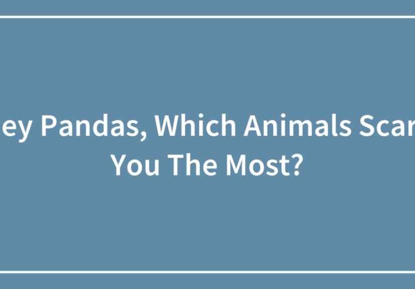 Hey Pandas, Which Animals Scare You The Most? (Closed)