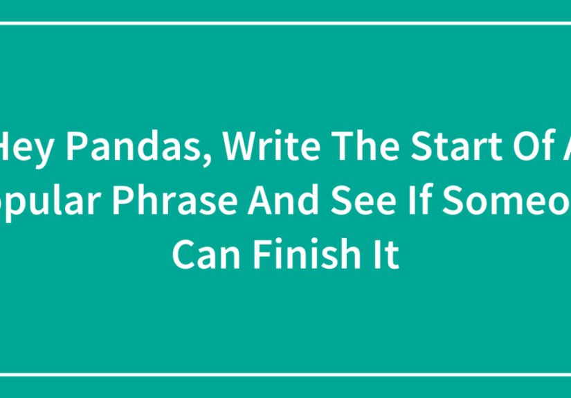 Hey Pandas, Write The Start Of A Popular Phrase And See If Someone Can Finish It