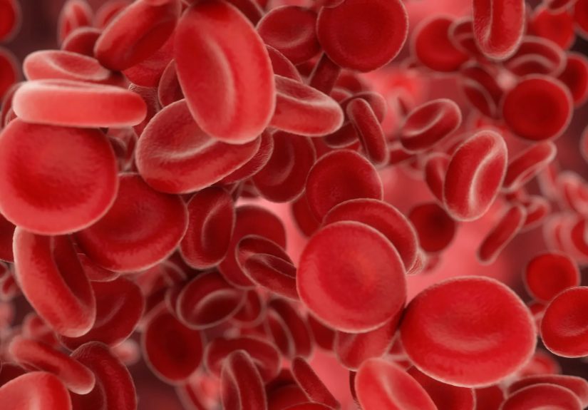 Red Blood Cell Count Test: Why It Is Performed, Risks, and More