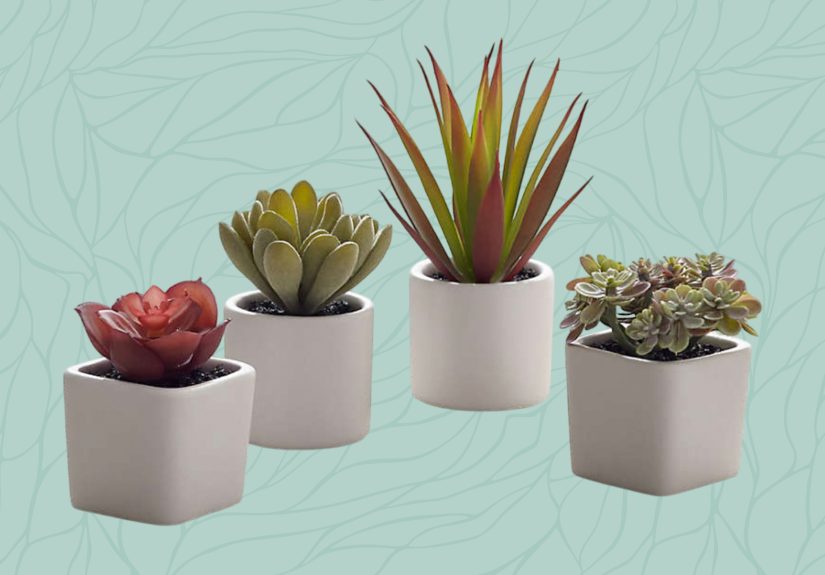 The 16 Best Fake Houseplants Our Editors Love