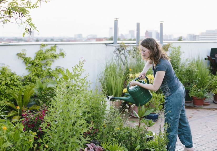 Who Needs a Yard When You Can Garden on a Roof?