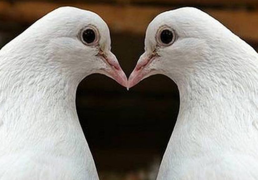 10 Absurd Laws From Around the World