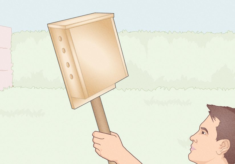 10 Ways to Get Rid of Mosquitoes in Your Yard