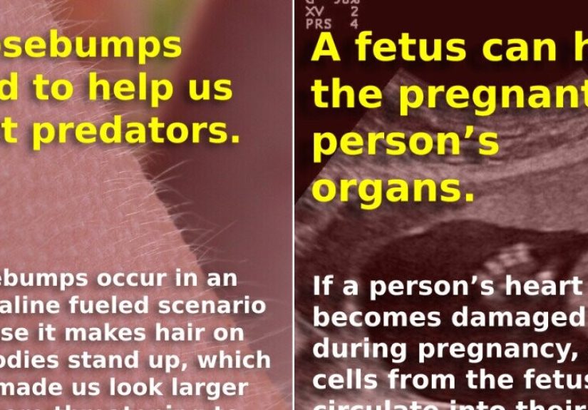 14 Supernatural Things Our Bodies Can Do