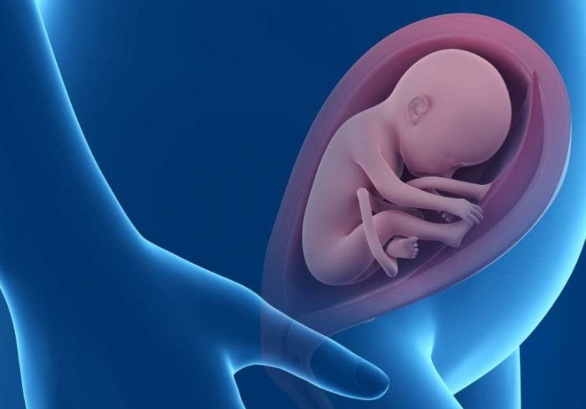 25 Weeks Pregnant: Symptoms, Hormones, Baby Development
