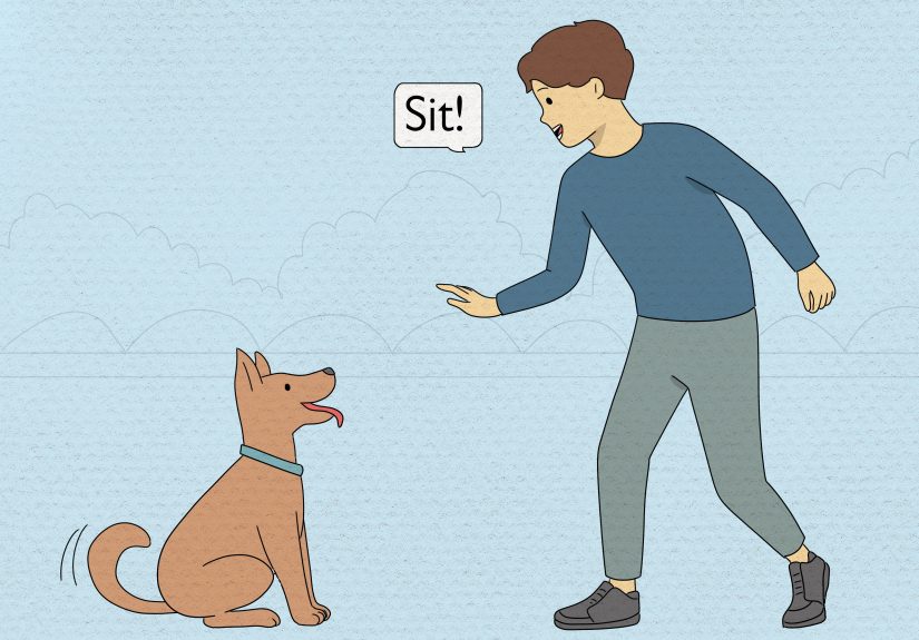 3 Ways to Deal with Emotional Trauma After a Dog Bites You