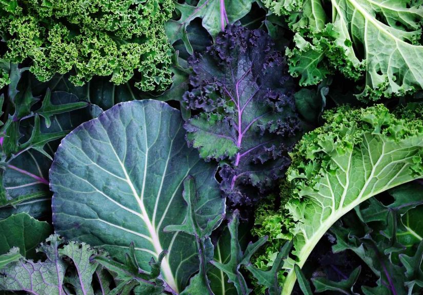 4 Non-Dairy Foods That Are Surprisingly High in Calcium, According to Dietitians