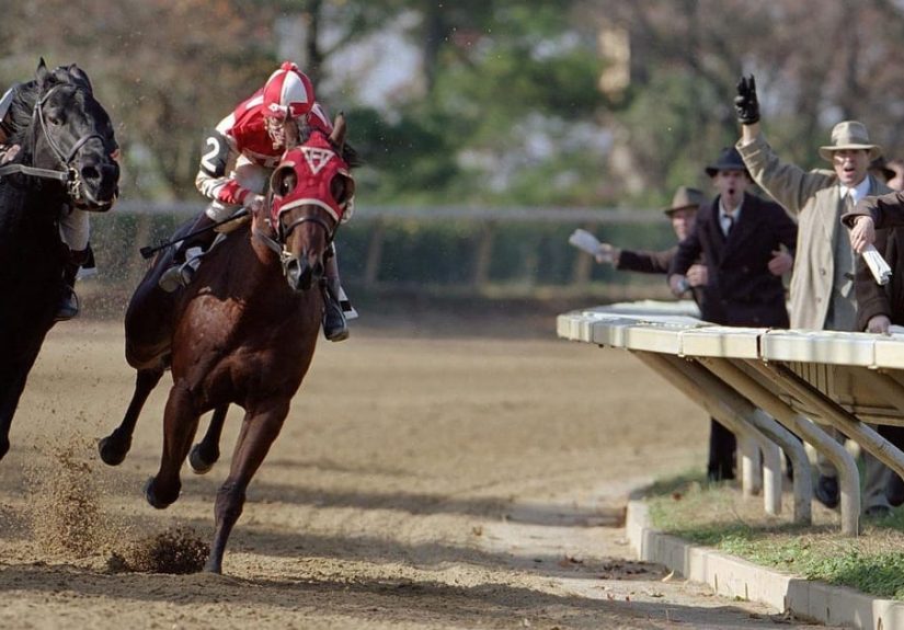 40+ Famous Racehorse Movies, Ranked By Fans