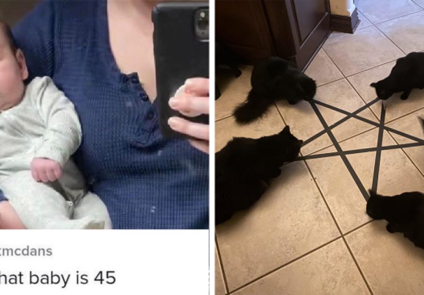 50 Funny &ldquo;Uncomfortable Memes&rdquo; To Make You Laugh, As Shared On This Facebook Page