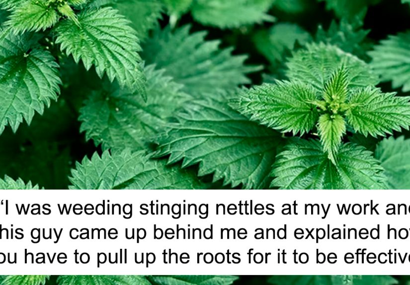 50 Times Guys Humiliated Themselves By Mansplaining Things To Women