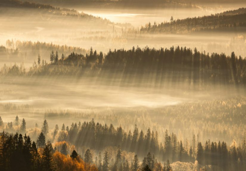 52 Mindful Morning Quotes that Will Bring You Daily Peace and Clarity