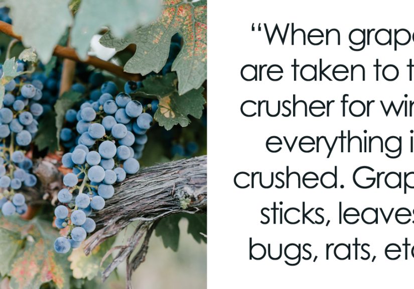 60 Products That People Would Stop Buying If They Knew How They Were Made