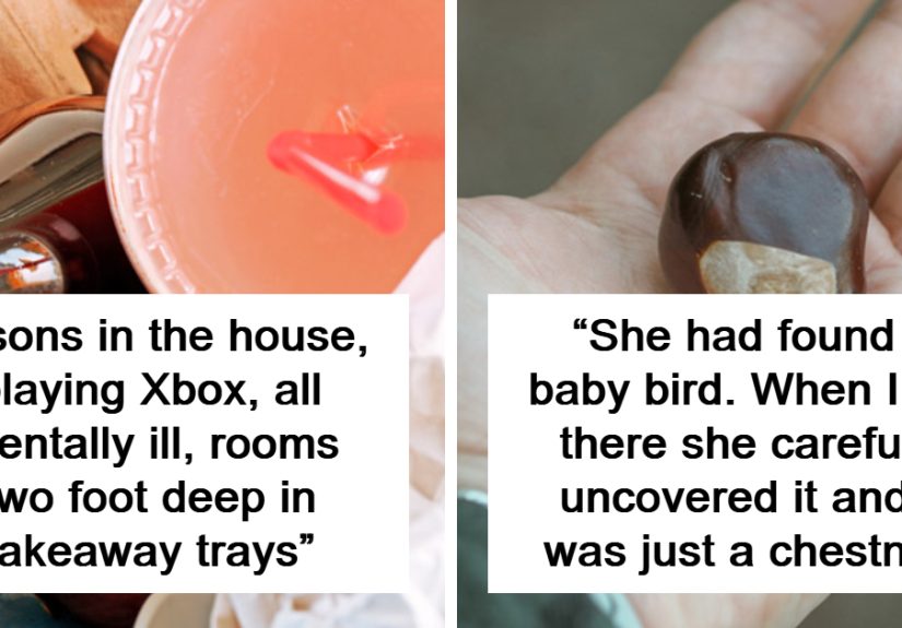 “All Her Previous Cats Taxidermied”, 43 Times People Walked Into Someone Else's Home As Part Of Their Job And Witnessed The Unexpected
