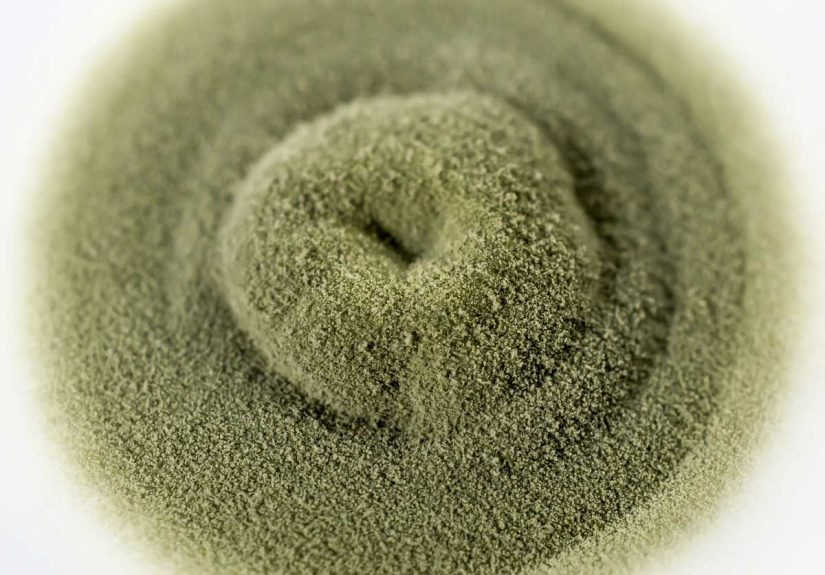 Alternaria Mold: What to Know About the Dangerous Mold