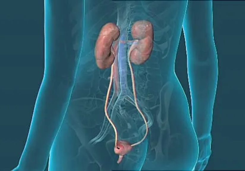 An Overview of Stress Incontinence