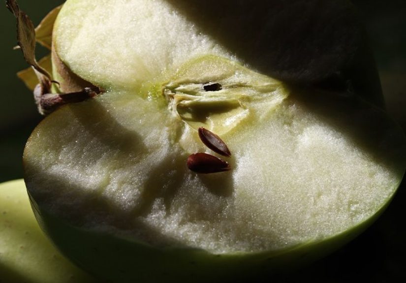 Apple seeds: Are they poisonous?
