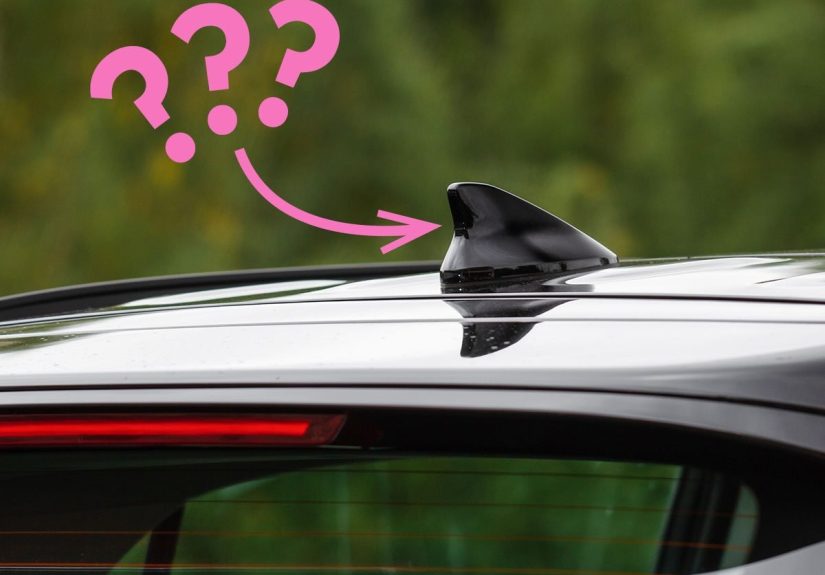 Automotive Curiosities: Test Your Car Knowledge