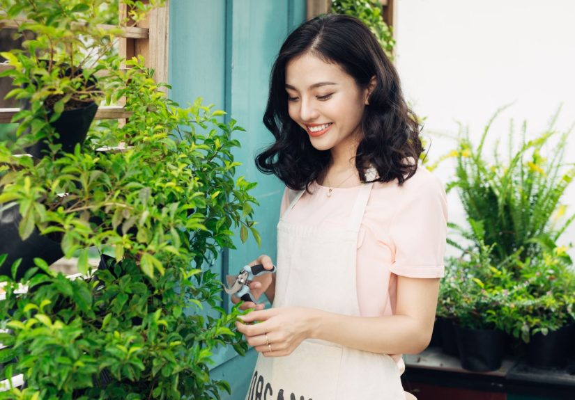 Blooming Defense: Garden Plants in the War Against Mosquitoes!
