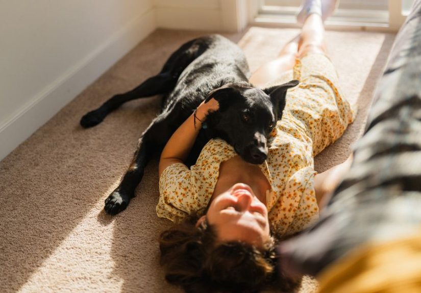 Can You Get a Service Dog for Anxiety?