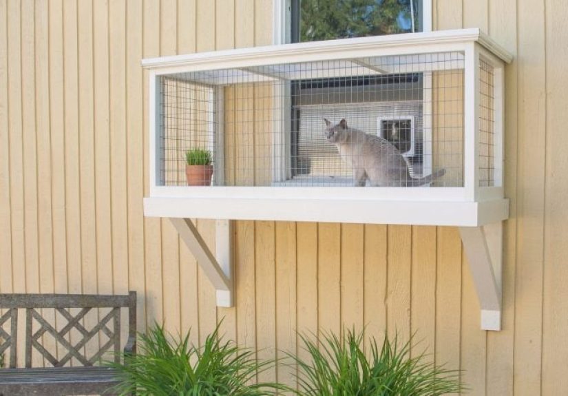 Catio Basics: Creating a Safe Outdoor Haven for Your Cats