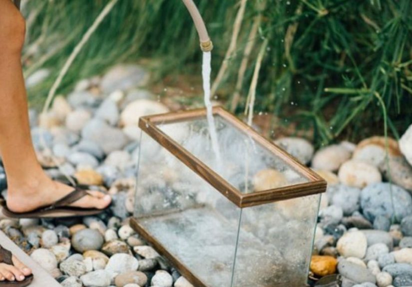 Easy DIY Terrarium From an Old Fish Tank