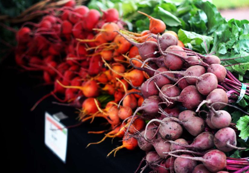 Guide to Manitoba Fruits and Vegetables