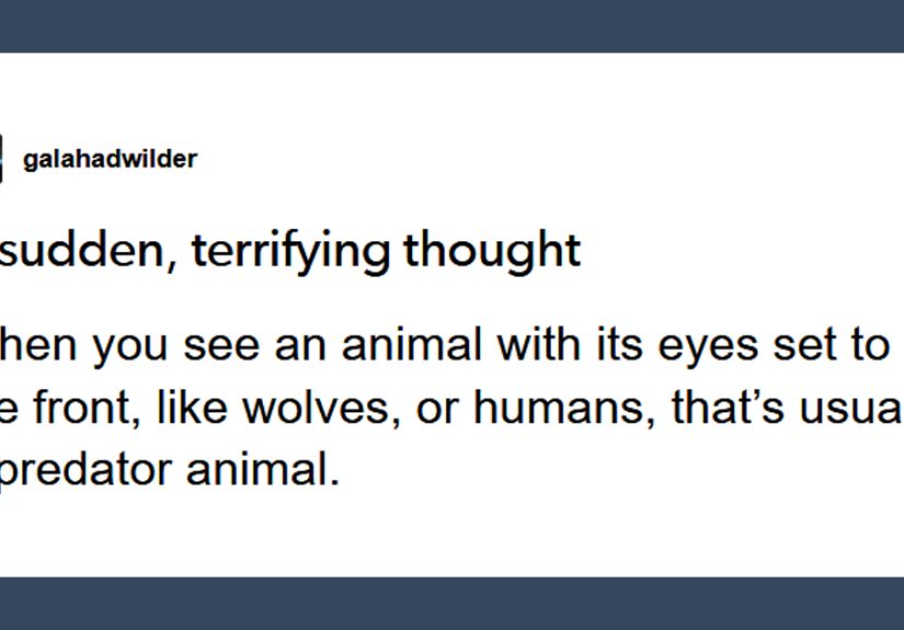 Guy Asks Why Dragons Have Eyes On The Sides Of Their Heads If They Are Predators, A Tumblr User Gives A Scientific Explanation