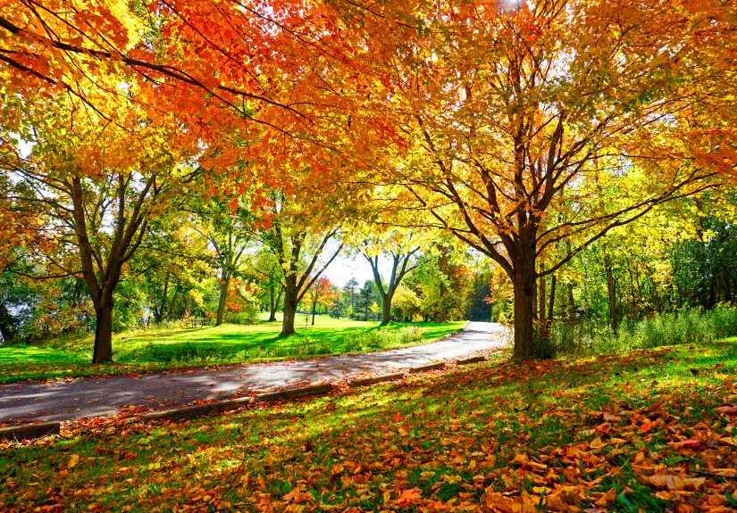 Here's When Fall Foliage Will Peak This Year, According to the Old Farmer’s Almanac