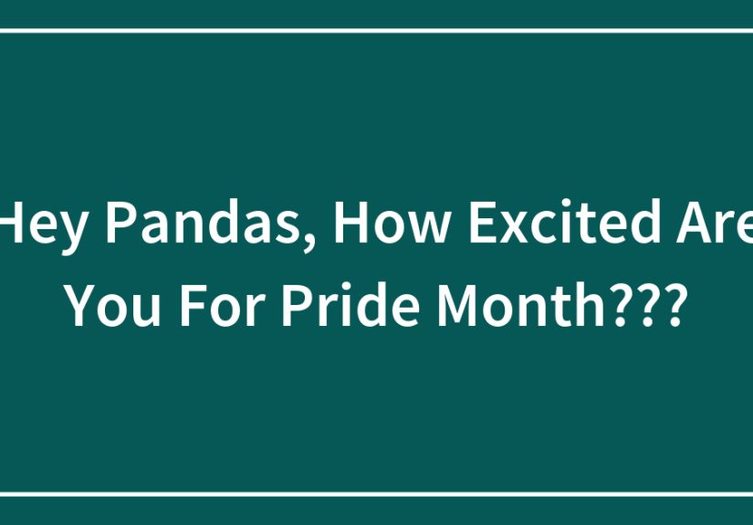 Hey Pandas, How Excited Are You For Pride Month???