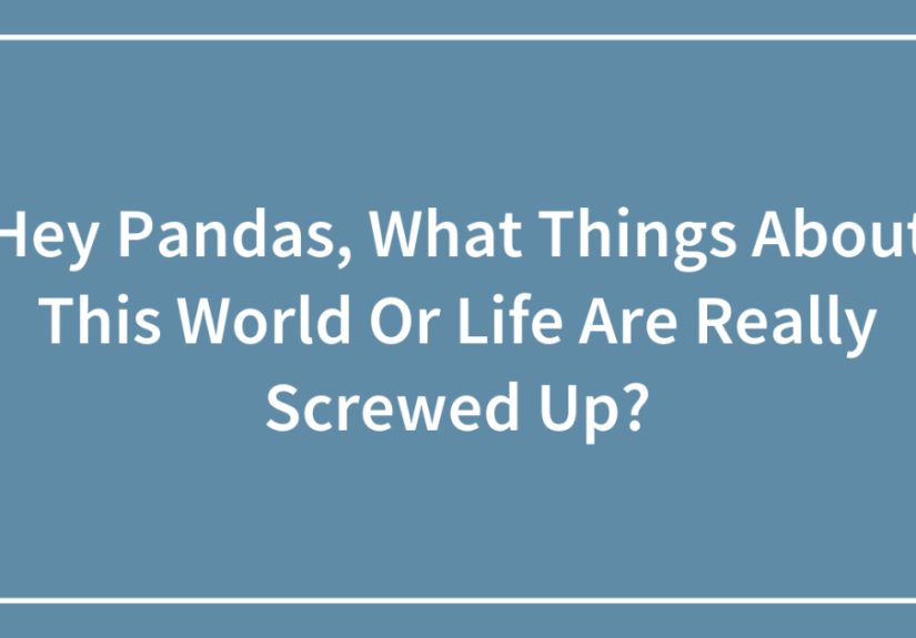Hey Pandas, What Things About This World Or Life Are Really Screwed Up? (Closed)