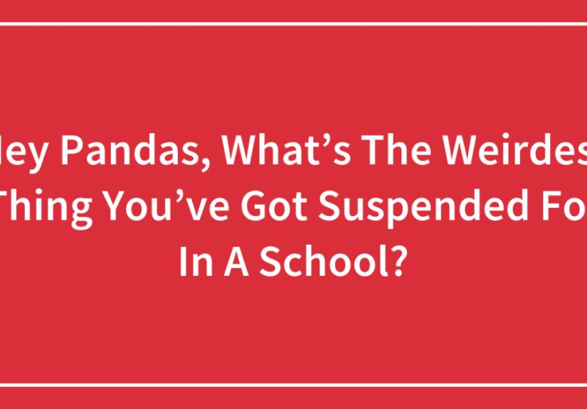 Hey Pandas, What’s The Weirdest Thing You’ve Got Suspended For In A School?