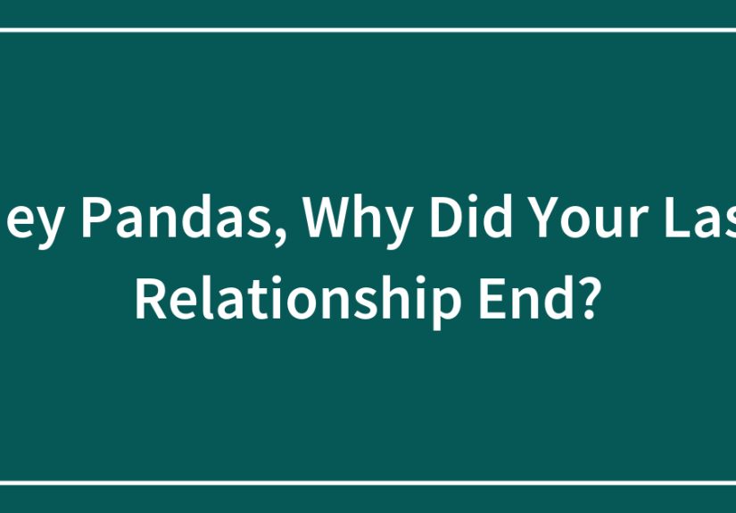 Hey Pandas, Why Did Your Last Relationship End?
