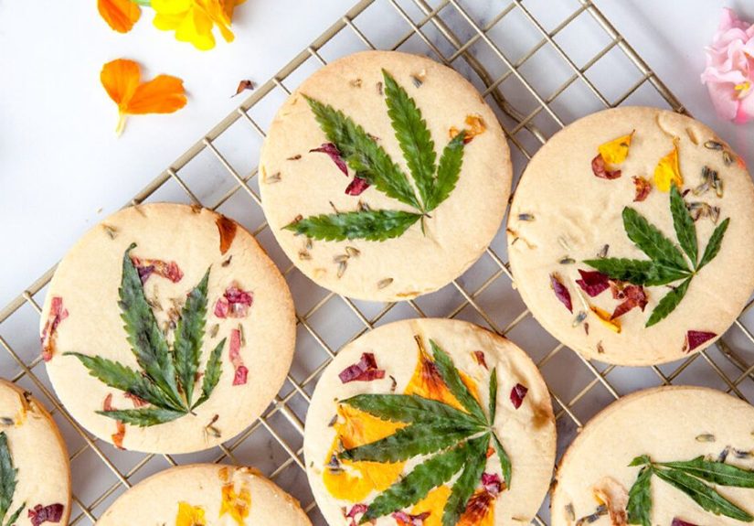 How Does CBD Affect Your Weight?