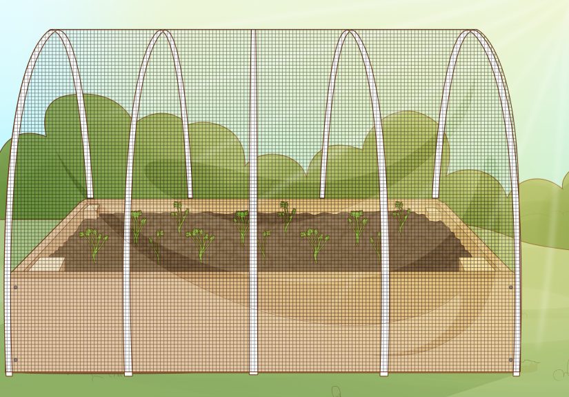 How to Construct a Raised Planting Bed