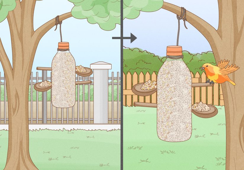 How to Keep Cats Out of a Garden: 4 Effective Methods