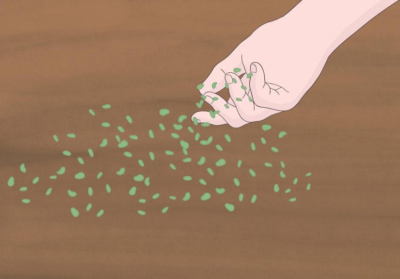 How to Make Nitrogen Fertilizer: 8 Steps