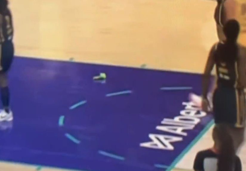 Inside the Meme Coin Community Behind the Dildo Throwing at WNBA Games