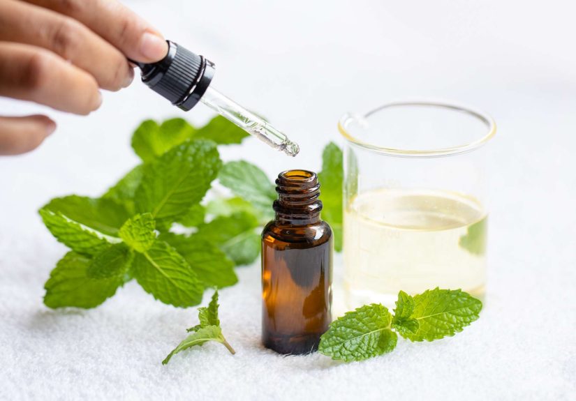 Is Peppermint Oil the Secret to a Bug-Free Home? Pest Pros Say Maybe